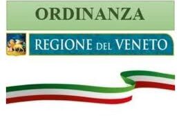 ORDINANZA