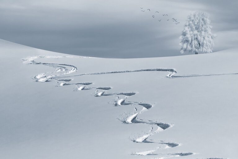 neve