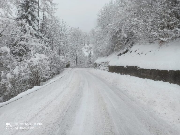 0490d699-3c0b-4907-a929-1c1dc11e90e0