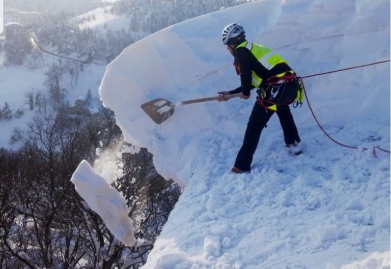 135186978_10157877783952544_4390533324519521834_o