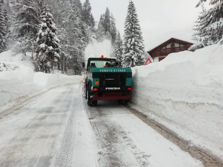 136079535_3638701736198560_3899994776097929861_o