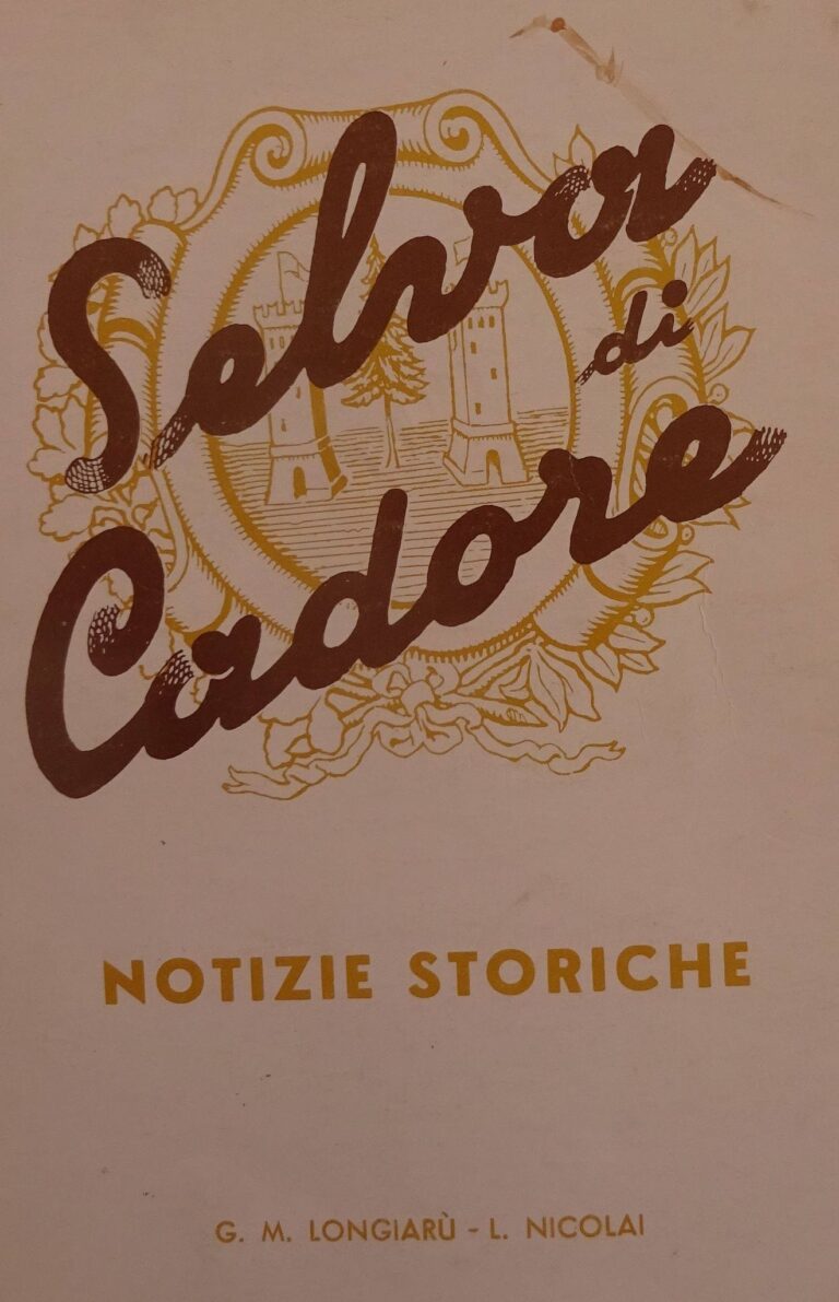 137032252_435712577569525_4828162884549568224_n