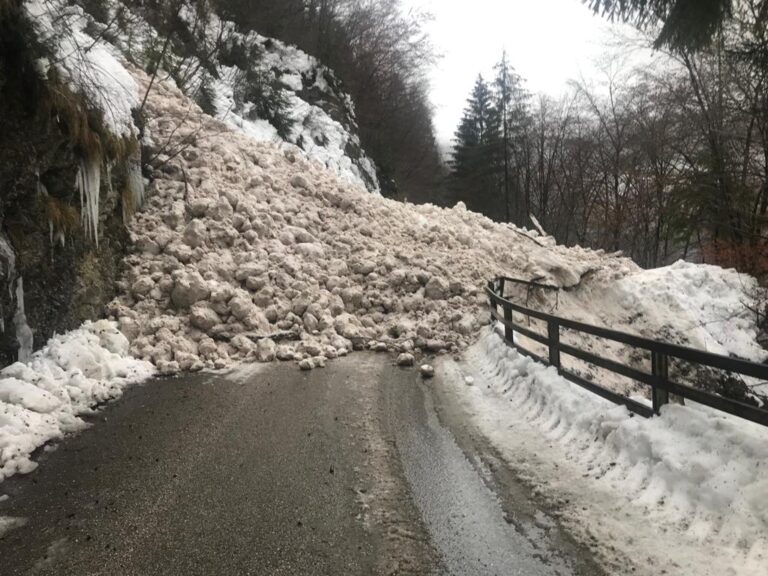 1a7b2a30-3156-4a28-acf9-97cf16c7bdd0