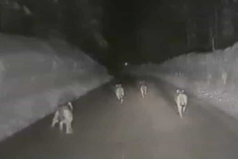 1d9d085d-e5c2-49f5-8f77-7a812ea8cd22