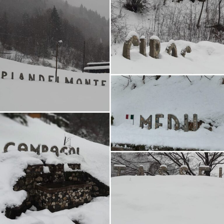 286d419f-544c-4fd3-92df-1fa23710c646