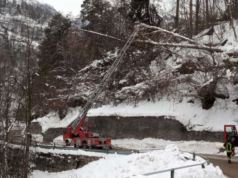 3d4f52f0-c4c6-4b76-9246-f8c4c9e3b79c