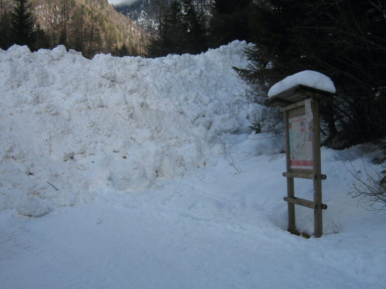 43336cb3-9dc9-44c8-b352-5dcade992124