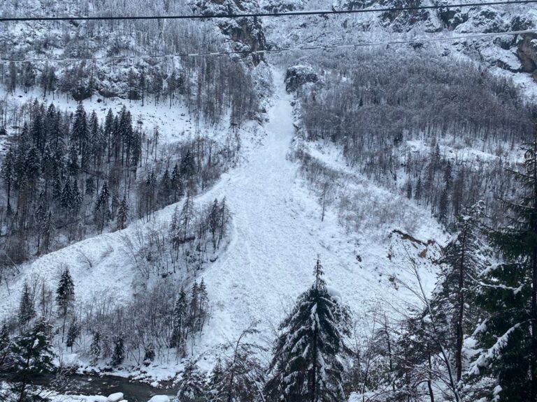 5ea2ed8e-7a68-4ad6-8b62-967801f11314