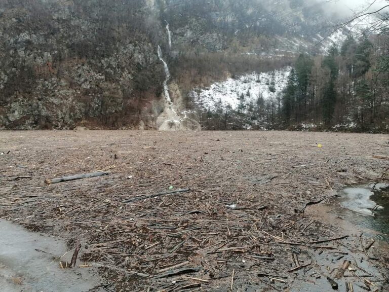 66c5a2ea-070d-46cd-a708-250bd4c77107