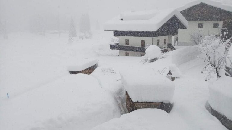 7237aadf-27f5-421a-a1ec-5cd921cb7cfe