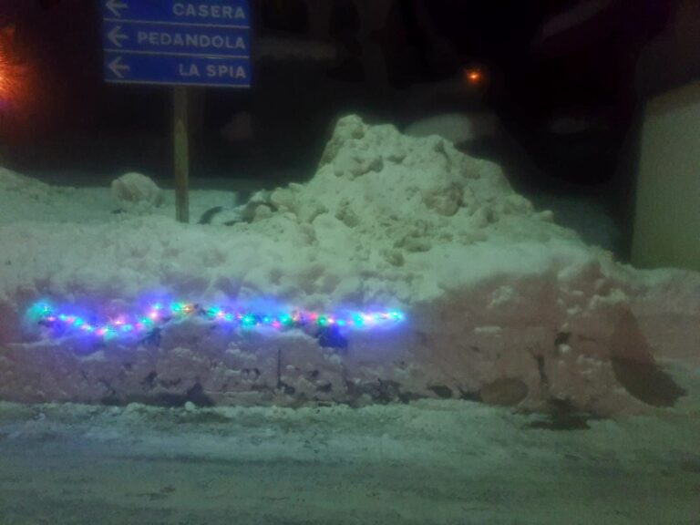 7c21a3a1-4b4d-445b-849b-38e4ed50b5c3