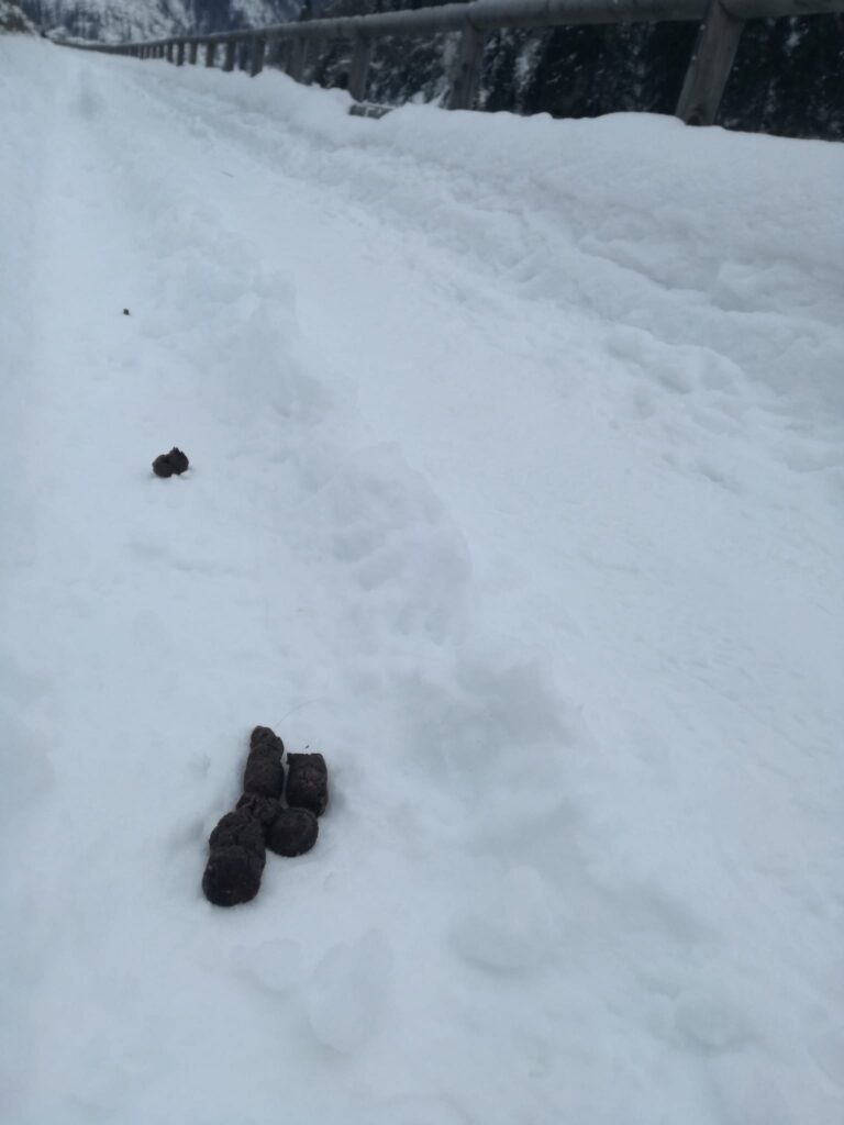 9b3438c0-e595-4c49-921c-3c73cbe81af9