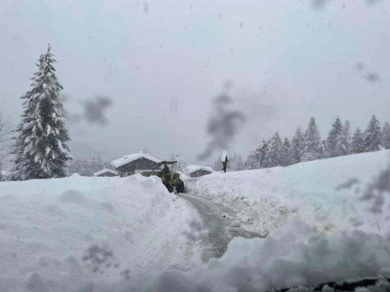 9f0dfe3f-1744-4d95-aae7-7382995a7458