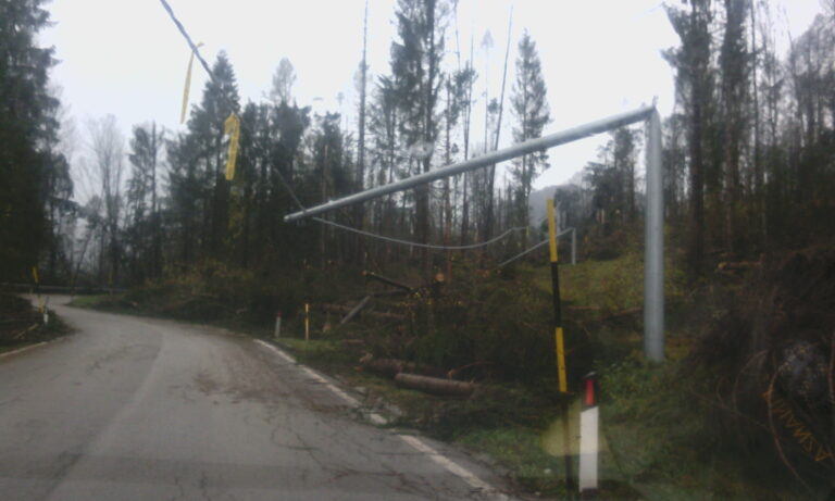 IMG_20181102_085152-scaled