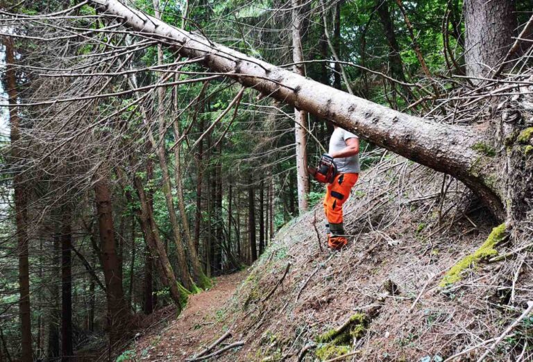 Sentieri_Nevegal_lavori