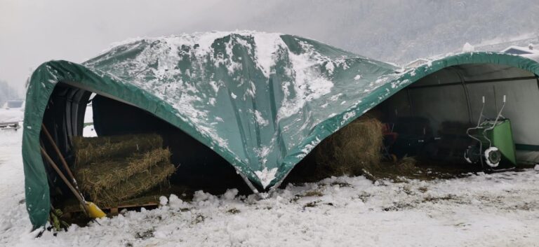 WhatsApp Image 2021-01-02 at 20.13.01