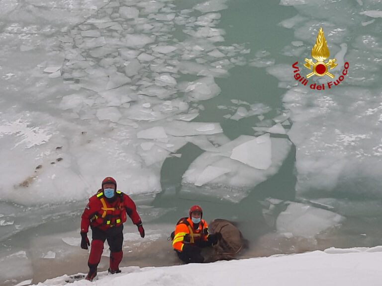 bde615f5-7c55-414c-88cc-efd78706ae81