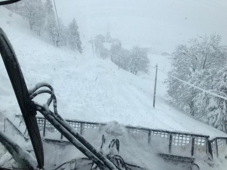 d6963451-e16a-49e0-914a-cbbd30ff7455