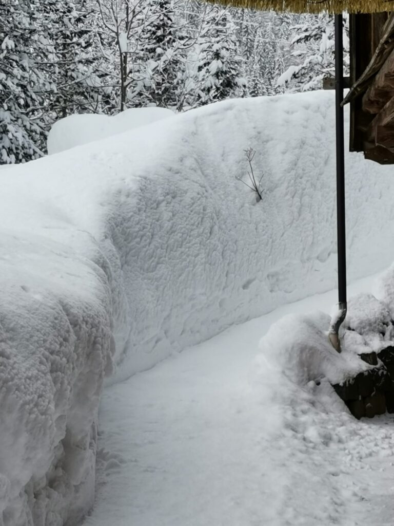 fae7d584-2c37-4e10-bbe1-2e0b0adf1c4c