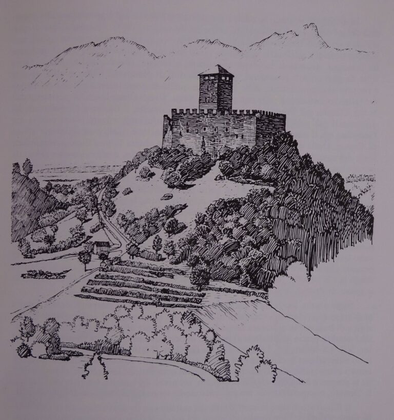 146242409_920813768727121_1214211904601607380_n