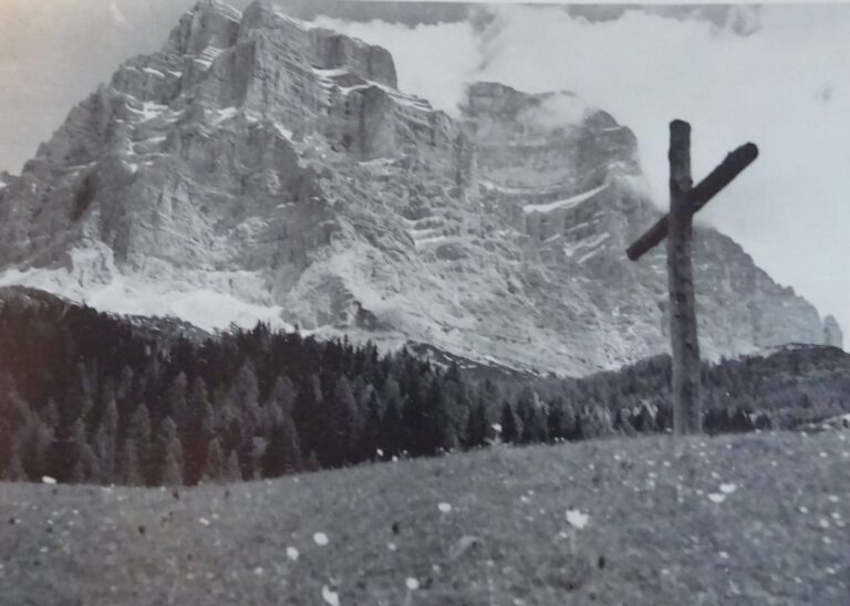 150159830_426462295307033_9171928714005207552_n