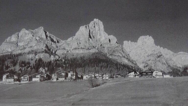 152673541_154843486455128_7644748341524808174_n