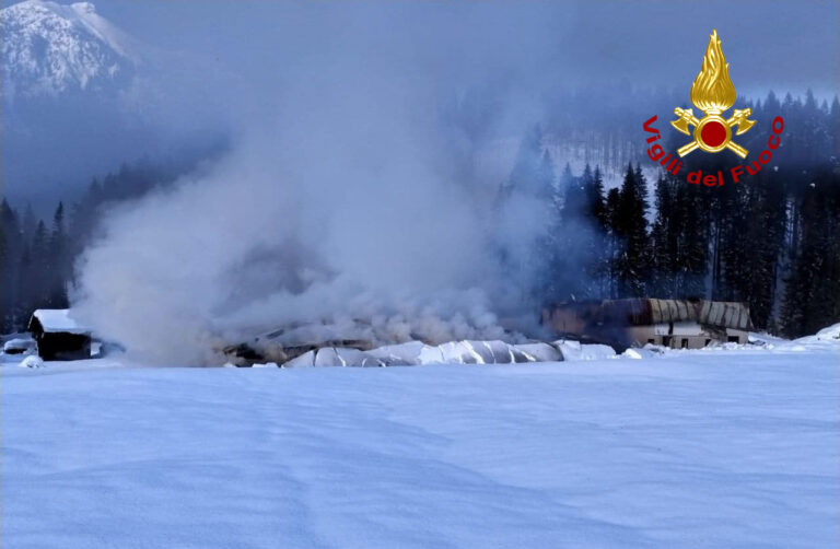 24d1a083-3402-4d2f-a8d0-e96809ba897e