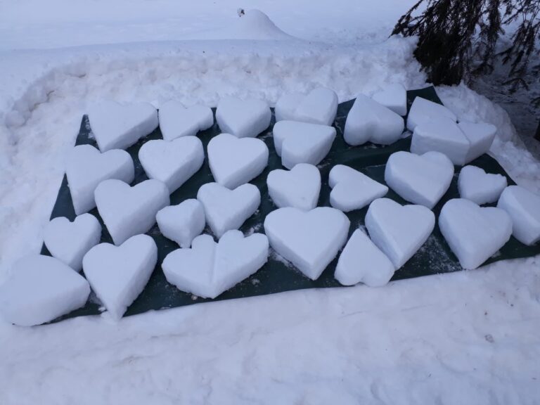 2e3eff3f-616c-4b98-98be-20f95b6a18f2