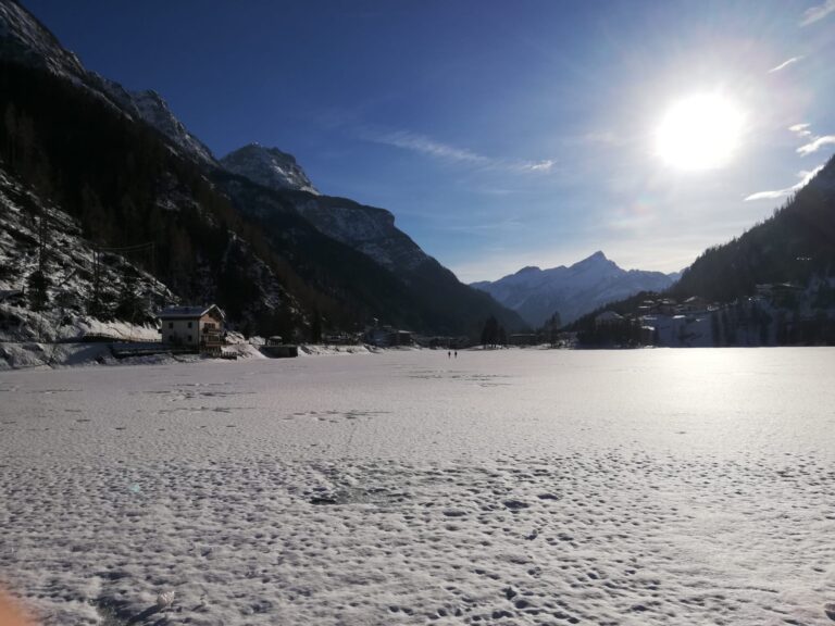 419cdbbc-53d8-44fb-9bfb-5e6b059a9b77