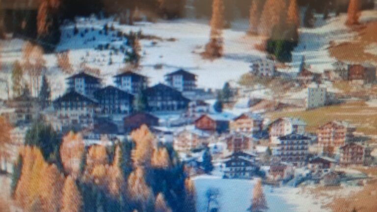 4bbef03b-8b21-4b75-95e0-93bed68c7611