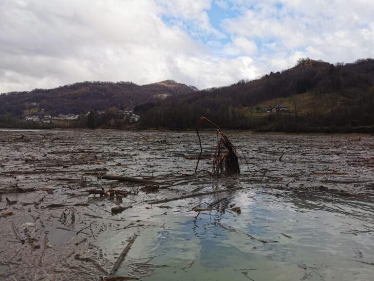 60ba6107-19bf-4f55-9127-78b83ec16b83