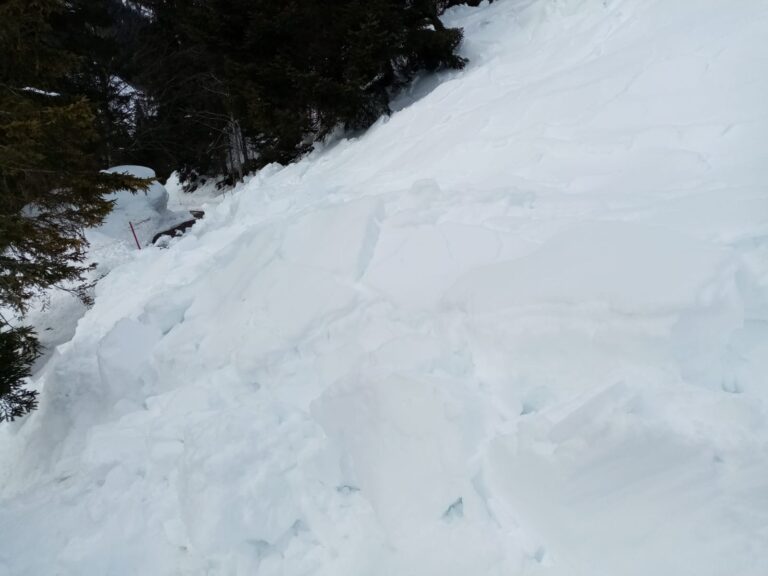 7268bcab-06a4-4258-b4a1-ac7f5073a57e