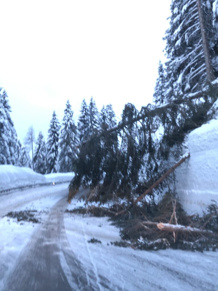 7c4f0d5e-96a9-40e6-8924-9fd661dcc60c