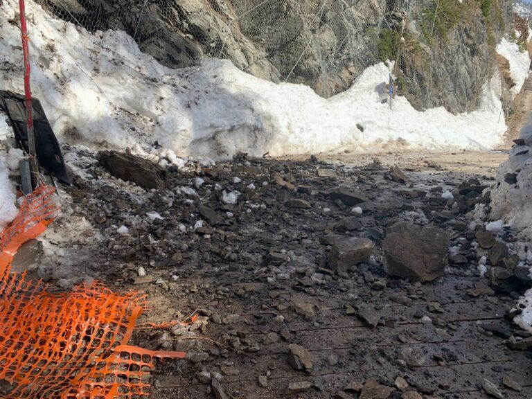 81e20394-6cda-4686-8f63-9ded79a123e1