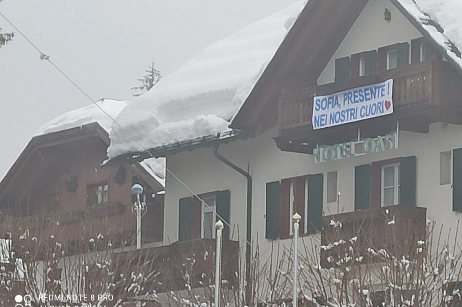 8d80cc17-1ddd-452a-9374-64b78db75ded