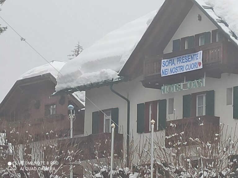 8d80cc17-1ddd-452a-9374-64b78db75ded