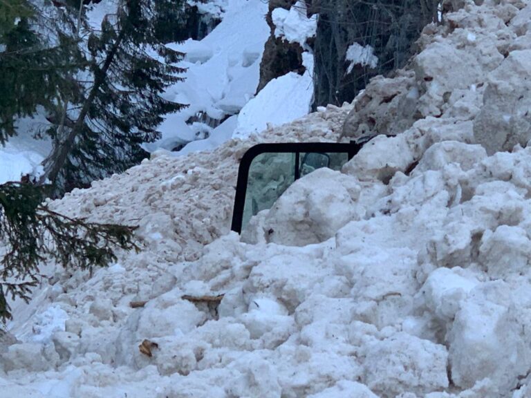 9d461362-94e7-4577-9633-35c446b02cb7