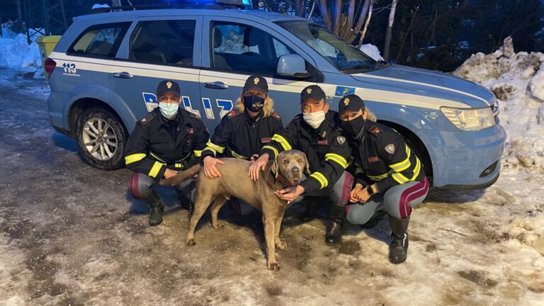 Allegato Comunicato Stampa del 19.02.2021