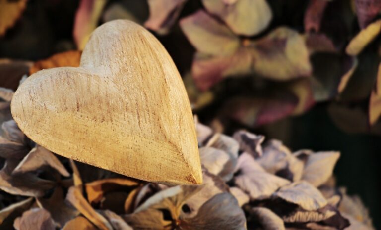 CUORE LEGNO