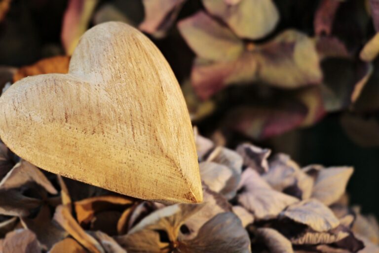 CUORE LEGNO
