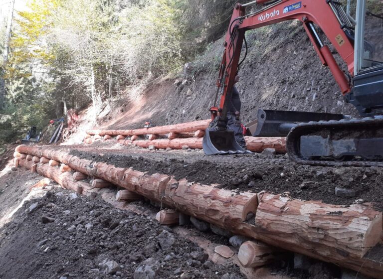 Cadore SCS – Lavori manutenzione ambientale