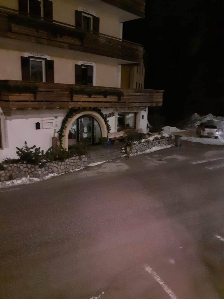 c6449370-0214-46c5-b0e5-260b6aea5a4a