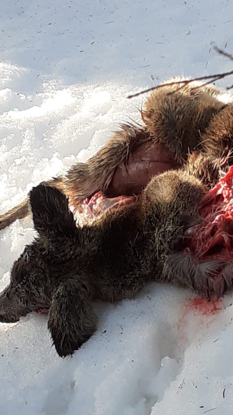 dd8c3de9-4375-4816-ad10-19c0978991ff