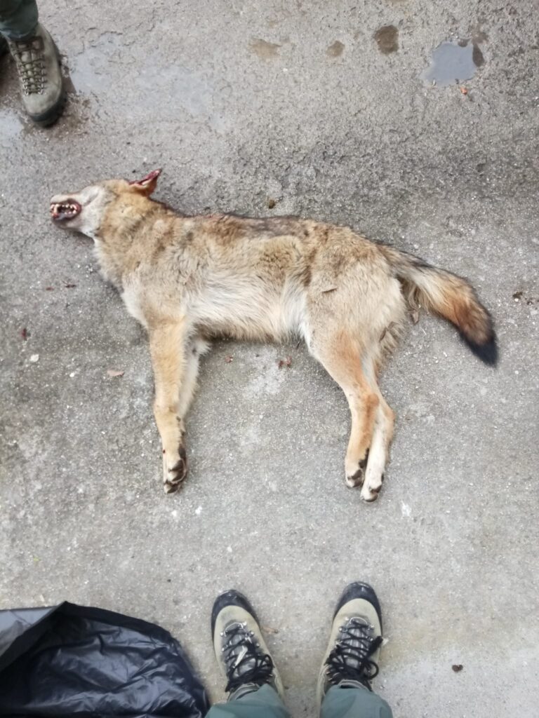 139ea5ed-d7ba-45ce-b296-55143152ba56