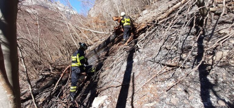 156014294_10158027815447544_6373845732032848323_o