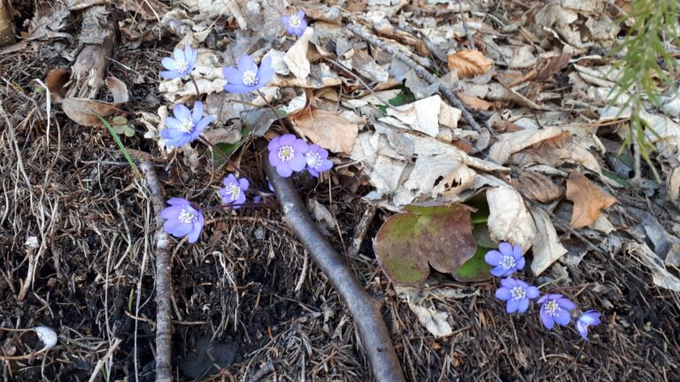 1d78ca02-ffe3-4ce5-ab24-58c24080f18c