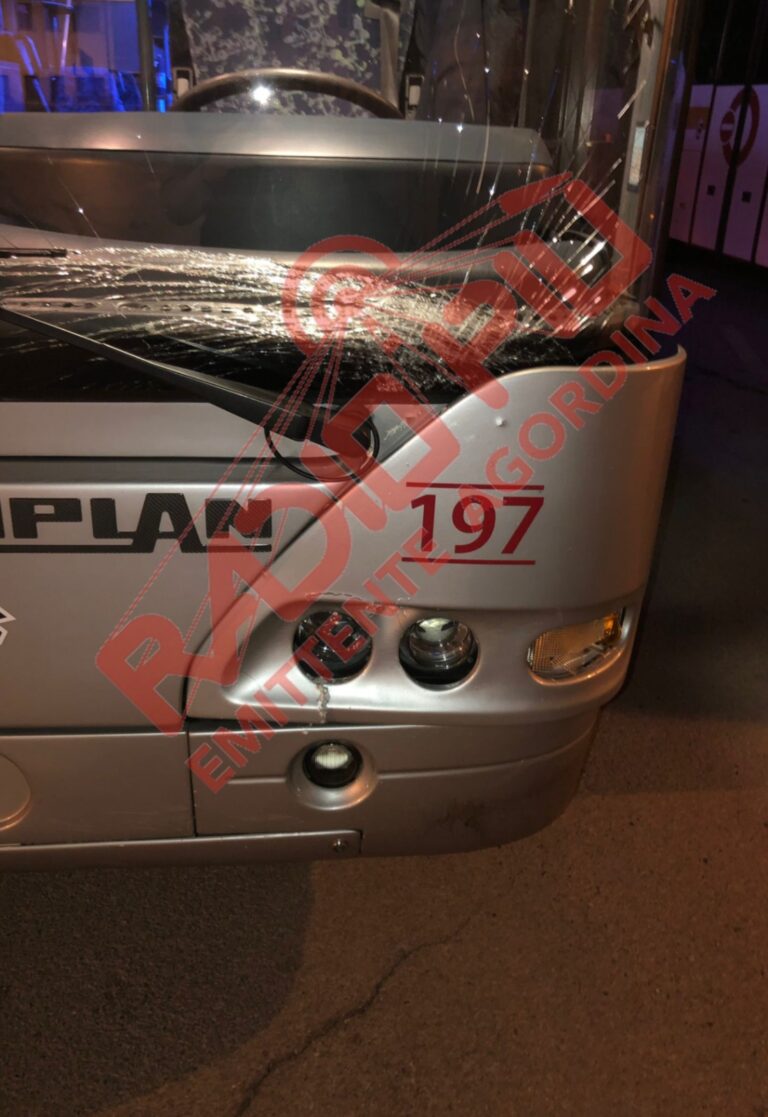 2f178472-5ad0-418c-b9e7-0034bae3b73e