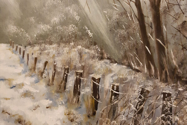 8 Luci_di_Neve_1000.jpg Junio