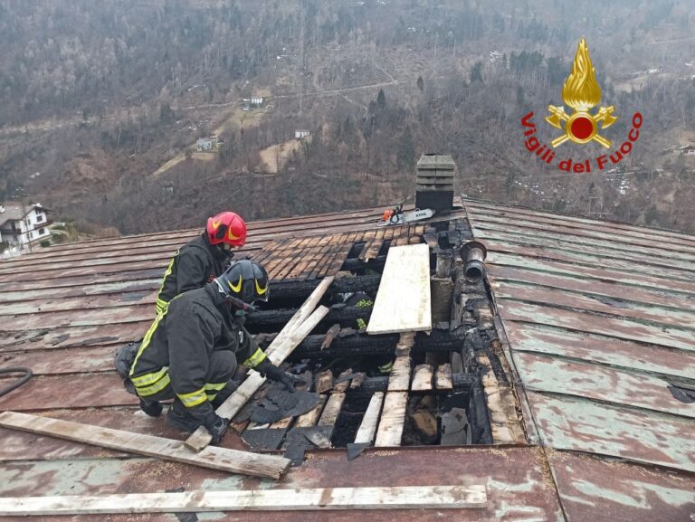 84d2064a-d6f7-4bde-aaa5-184460fdf732