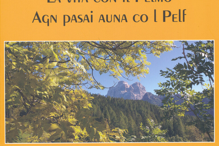 Copertina Pelmo Dalla Torre